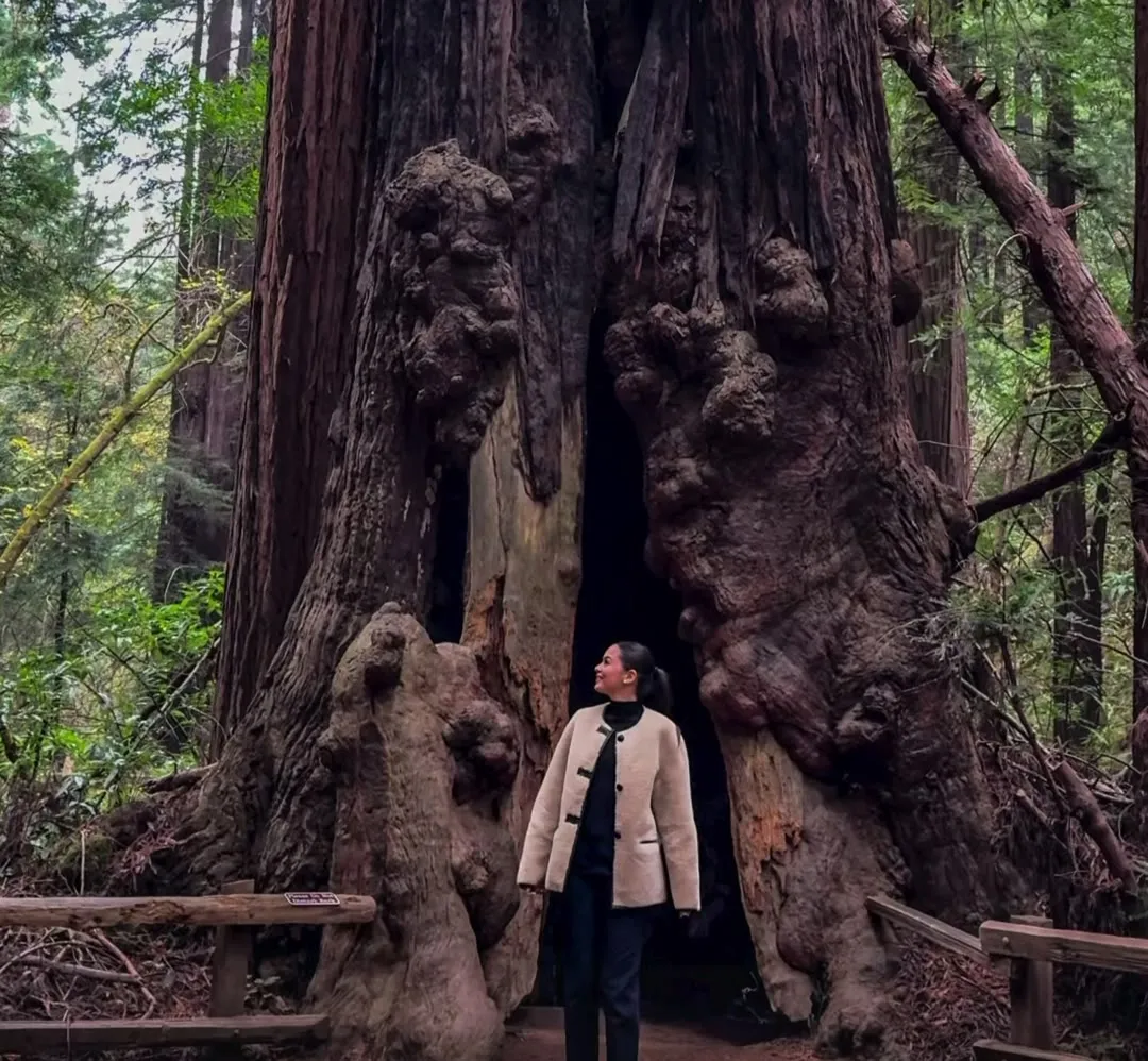 Muir Woods